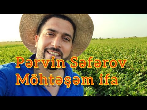 Pervin Seferov - Retro mahni