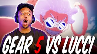 Gear 5 Luffy vs Lucci CLIMAX! One Piece EPISODE 1101 Reaction