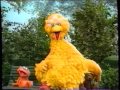 Sesame Street Big Bird Shows Between