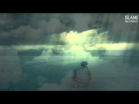 Ne dhe Selefët ( Krahasim)  -  Dr. Shefqet Krasniqi