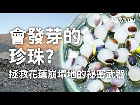 會發芽的珍珠!宜蘭大學研發「種子造粒」技術 無人機空投助山林復育【Well Talk】