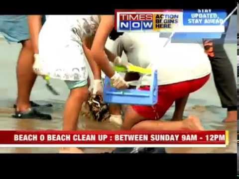 Beach O Beach Cleanup Project
