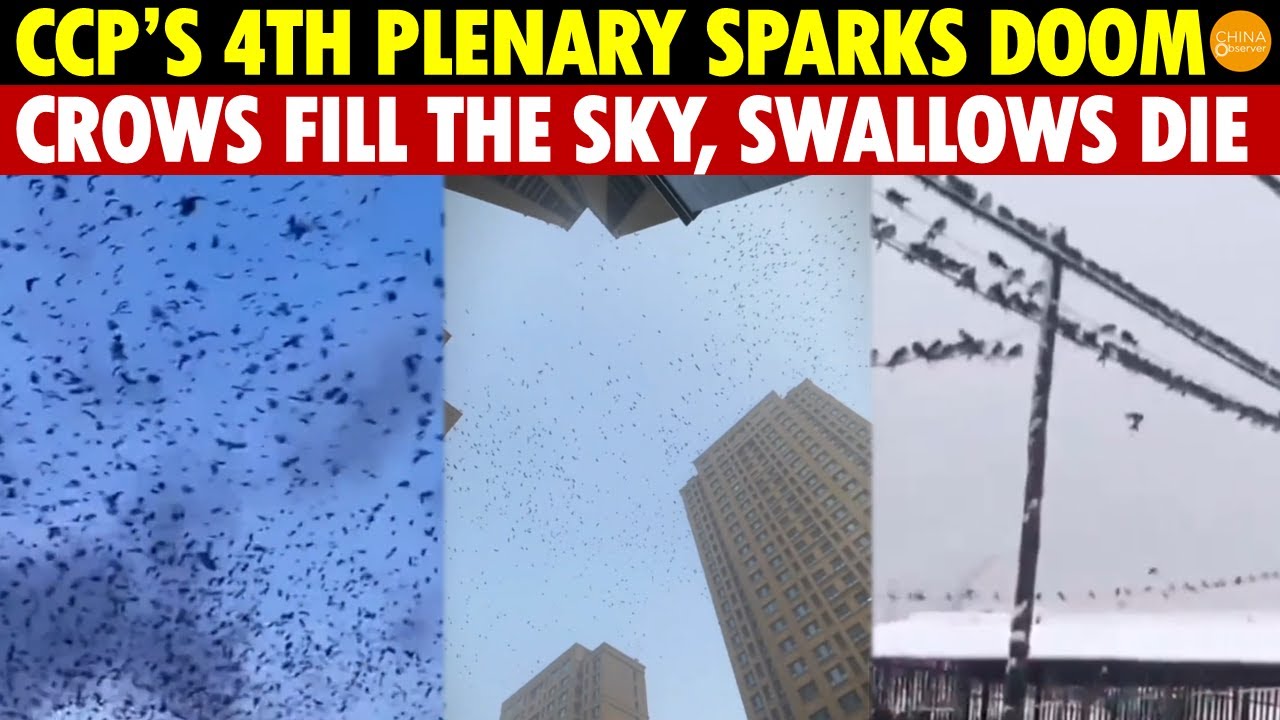 CCP Holds Secret Meeting, Crows Fill the Sky, Swallows Freeze—Is It for Yu Menglong?