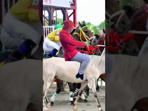 Jimmix es el mejor 😂🤣