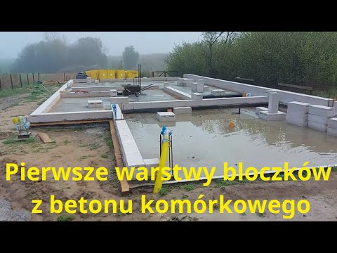 Pierwsze warstwy bloczków z batonu komórkowego - Dom w aroniach 2 (G2)