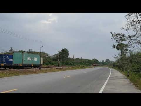 สุเทพเชื้อเห็ดฟาง