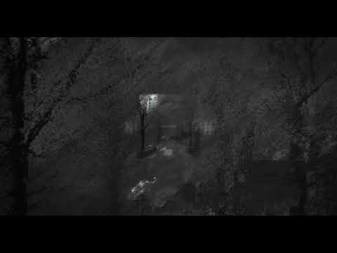 REIKZ - NIGHTWITCH (OFFICIAL AUDIO)