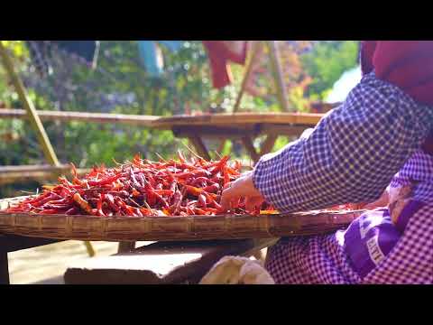 O outono em Huangling é um cenário raro e bonito.