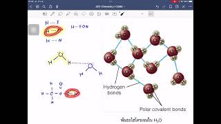 แรงยึดเหนี่ยวระหว่างโมเลกุล