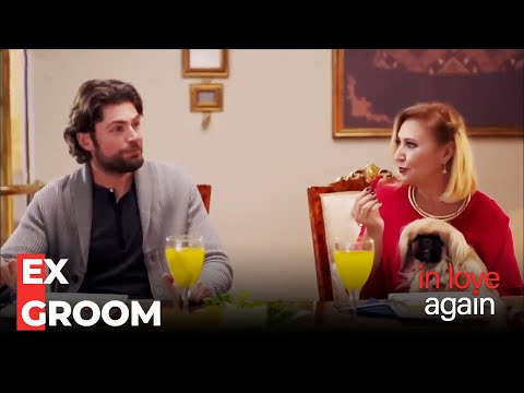 Exclusive Interest Of Şekercizade Family for Ertan - In Love Again