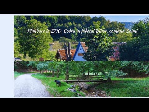 #zoo  Codru  Romania, Bihor county