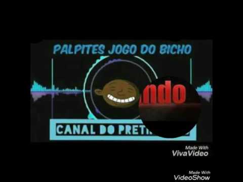 PALPITES PRO JOGO DO BICHO = 31/03/17 = CANAL DO PRETINHO JB
