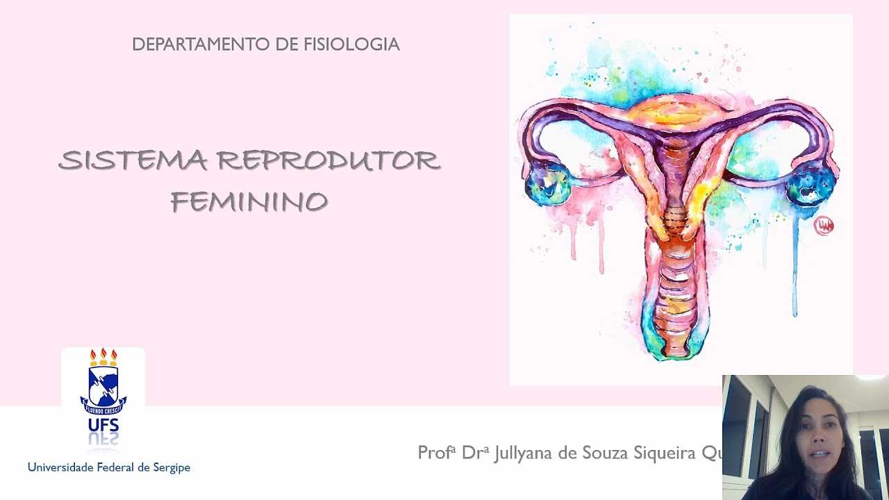 MÓDULO 2 - Aula 3b: Sistema Reprodutor Feminino