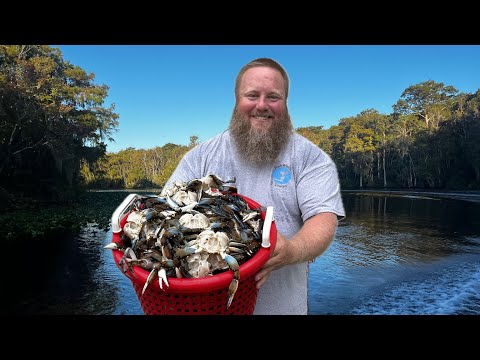 Over 100 BLUE CRABS in 10 Traps! | Catch, Clean, Cook Crab Benedict