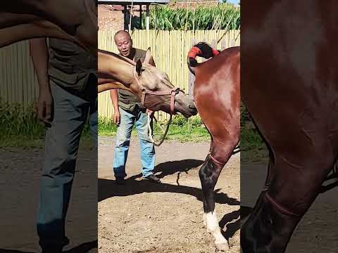 𝙱𝚎 𝚠𝚑𝚘 𝚢𝚘𝚞 𝚠𝚊𝚗𝚝 𝚝𝚘 𝚋𝚎 𝚊𝚗𝚍 𝚗𝚘𝚝 𝚠𝚑𝚊𝚝 𝚘𝚝𝚑𝚎𝚛𝚜 𝚠𝚊𝚗𝚝 𝚝𝚘 𝚜𝚎𝚎 😋