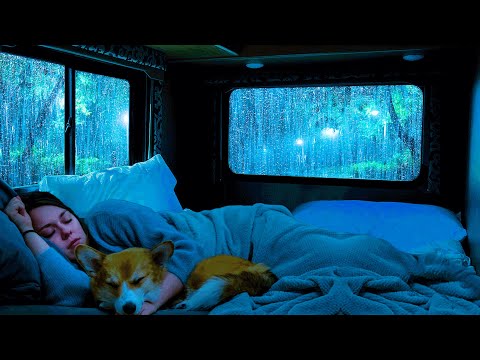 Cozy Car Rain Sounds for Sleep 🌙 | Thunderstorm Relaxation & Stress Relief in 3 Minutes