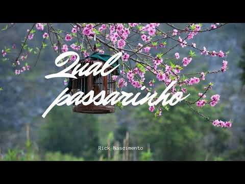 Qual passarinho - Rick Nascimento - Hino Avulso CCB