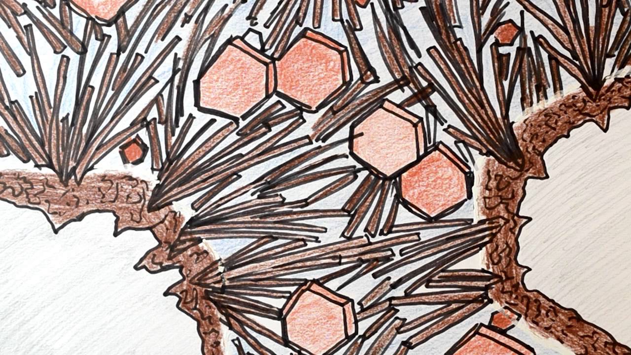 MinuteCement - Introduction to cement chemistry