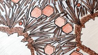 MinuteCement - Introduction to cement chemistry