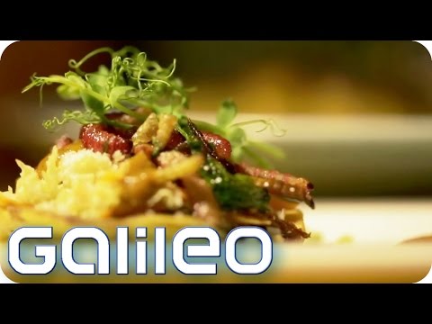 Crazy Snacks - Mit Jumbo in New York | Galileo | ProSieben