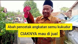 Download lagu Anak ayam pelung juara dijual mp3