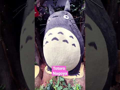 JAPAN Giant Totoro Doll! どんぐり共和国でとなりのトトロ！名古屋駅 #shorts #ショーツ #miyazaki #ghibli #宮崎駿