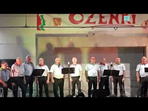 Ozenki à St Palais(64).(Extraits). 02/08/2025.