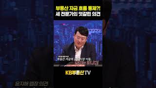 부동산 자금 흐름 통제?! 세 전문가의 엇갈린 의견 #박은정 #김인만 #윤지해