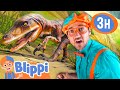 Blippi Learns About Different Dinosaurs Blippi And Meekah Best Friend Adventures Educational