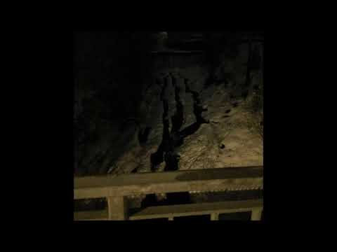 136. Vegard - Hop [26.02.2020]