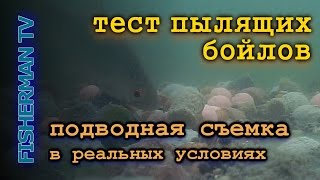 рыбалка на суре