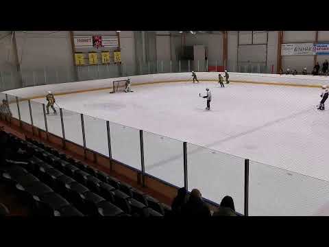 Ilves Keltainen - KKP