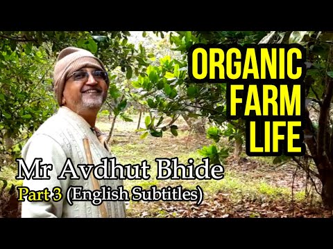 Part 3 - Life on an Organic Permaculture Farm - Cool Story of Avdhut Bhide #agriculture #organicfarm