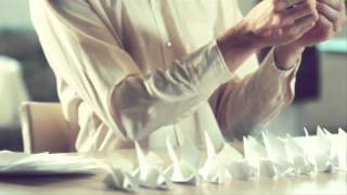 Tijuana Cartel - White Dove [official]