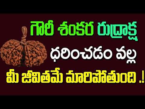 Wearing Gauri Shankara Rudraksha will change your life ! | Har Har Mahadev Om Namah Shivaya | Kai