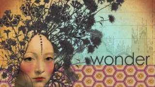 Son Volt - Mystifies Me