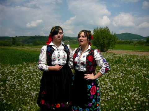 borozel-toate sogoritele