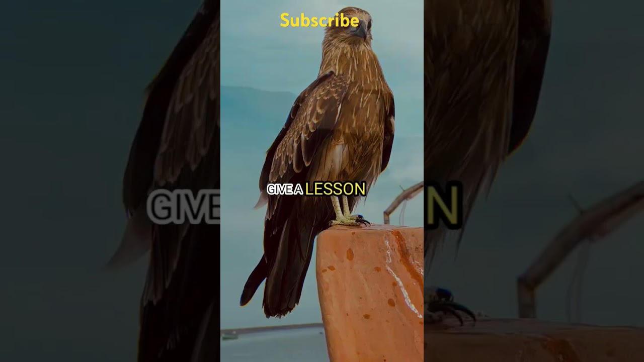 SIGMA RULE 🔥😏~ LIFE CHANGING LESSON /EVERY LESSON CHANGE A PERSON #shorts