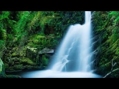 NALONGO KAWUMPULI - OKUZA AMANYI EWAKA.