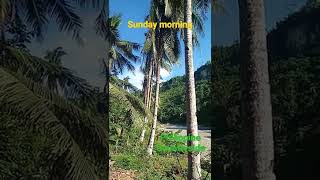 Download lagu beautiful sunday morning Philippine Countryside me... mp3