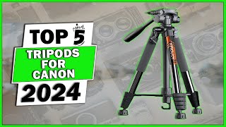 Best 5 Tripods for Canon Camera in 2024 (Top 5 Picks For Canon Cameras)