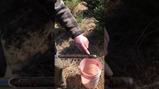 Soil Sample