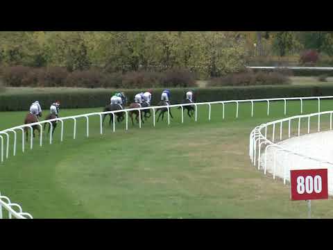 2018.10.28. 01. futam - NYERETLEN KÉTÉVESEK VERSENYE (IV.kat.) I. rész