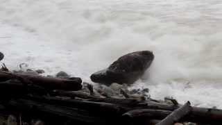 preview picture of video 'Haida Gwaii, 2013 storm  moving a rock.'