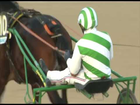 Napoli Trotto 08/12/2022 - 4ª corsa