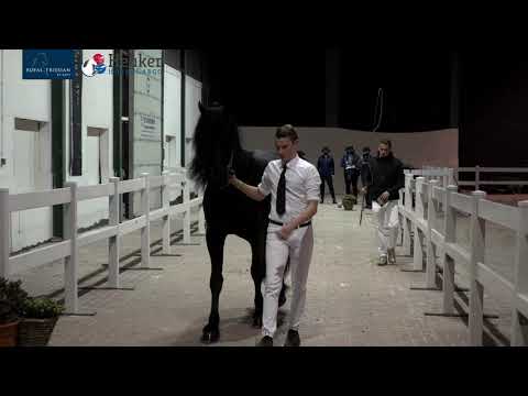 KFPS Eerste Bezichtiging HK2021 woensdag deel I – 9 december