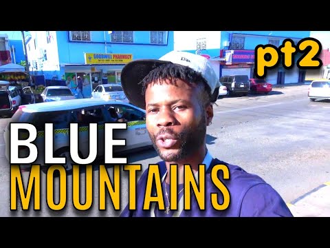 Journey To The Blue Mountains Continues With Kino. (Pt2)  | EP410  | JAMAICA GOOD LIFE 🇯🇲