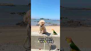 유튜브 썸네일