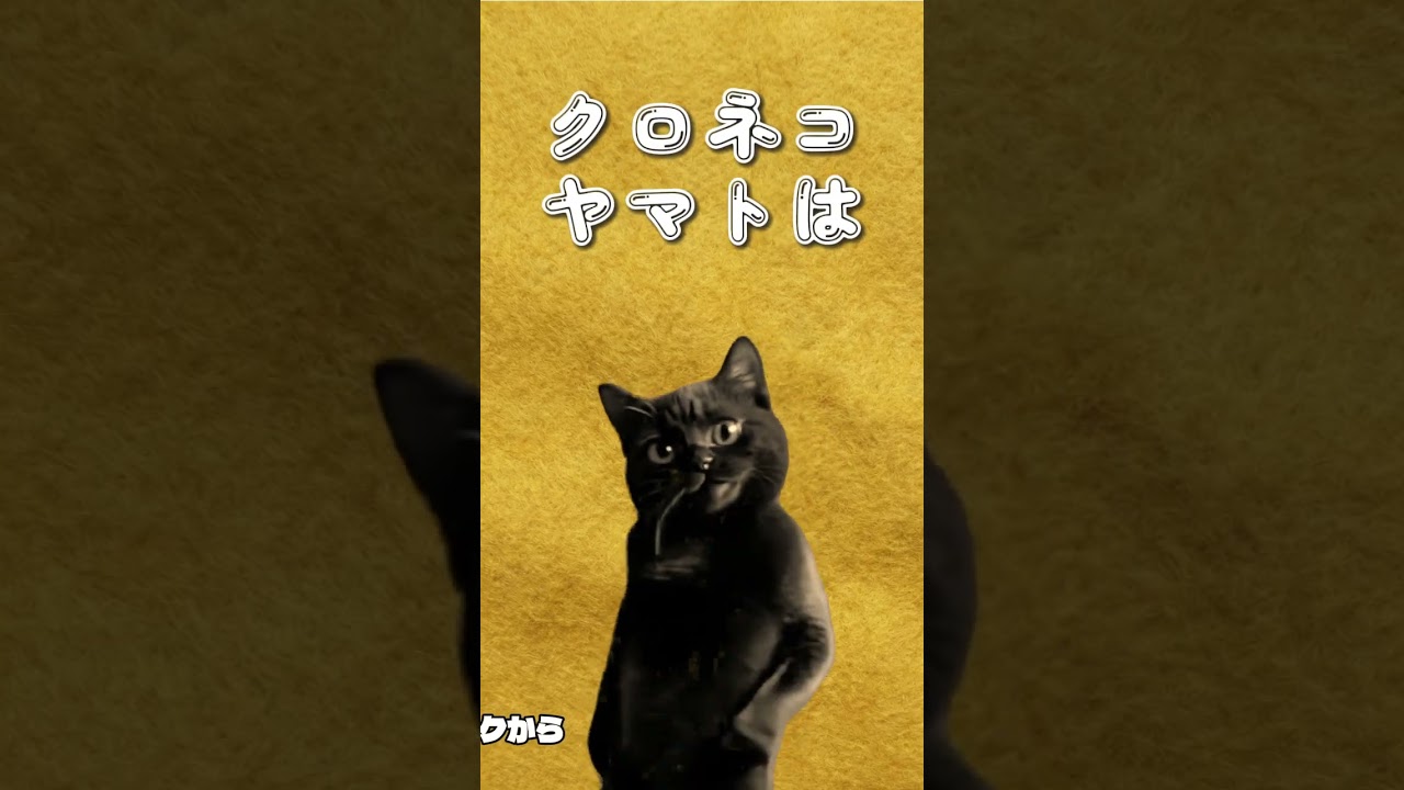 クロネコヤマトは...県内、安い🎵