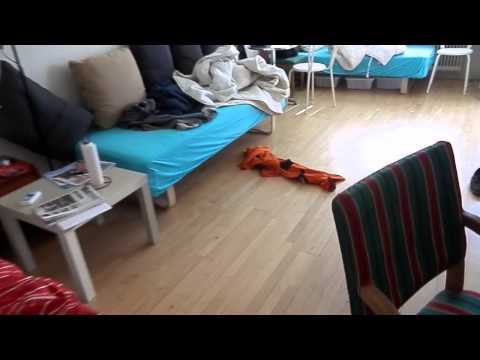 MongoTV_114 - Smukt Vejr Og John Åbner Øl 3